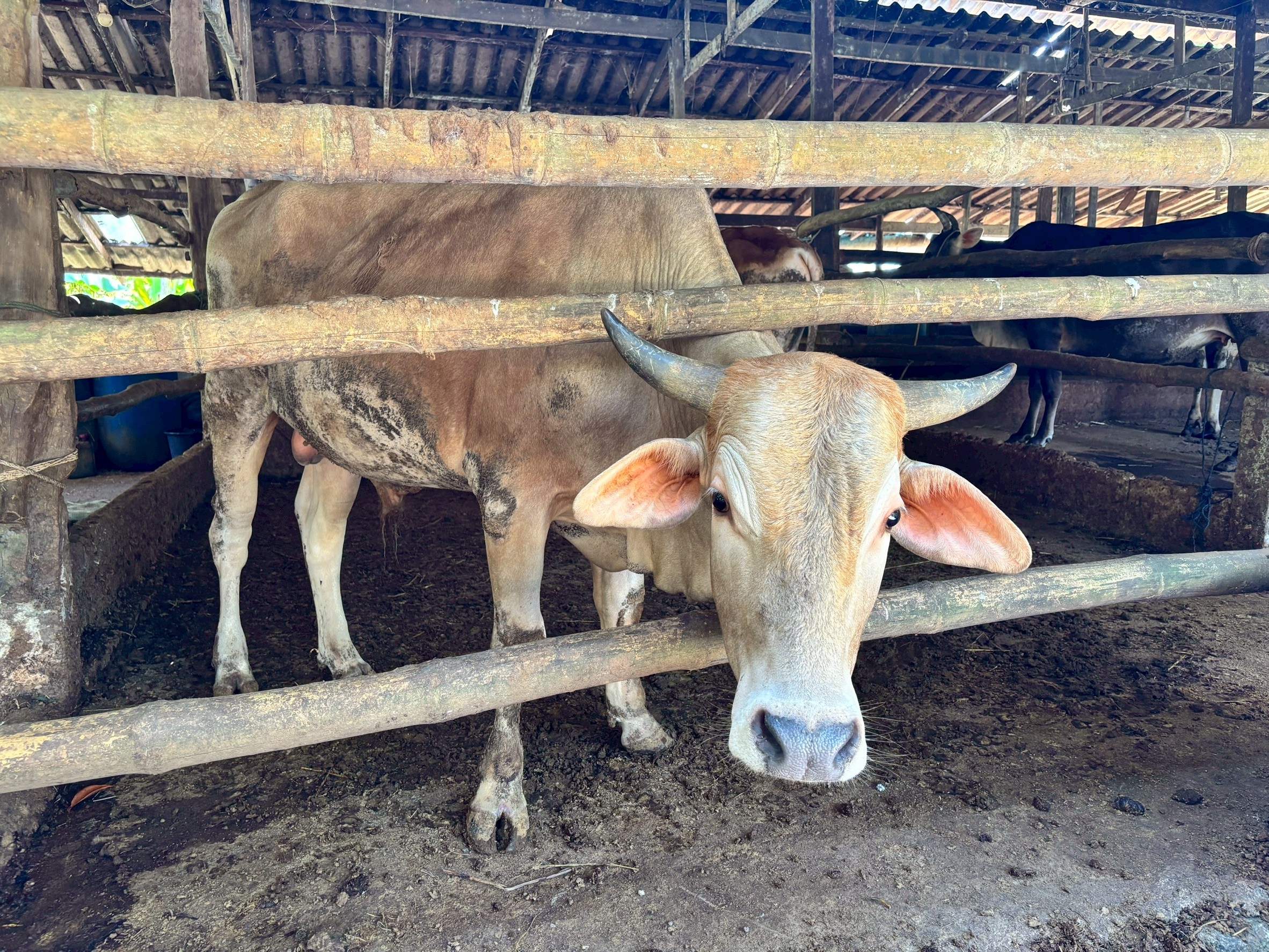 title - ผู้ตรวจราชการ ส.ป.ก. ประชุมติดตามผลการดำเนินงานตามแผนการตรวจราชการ ของ ส.ป.ก. ประจำปีงบประมาณ พ.ศ. 2569 รอบที่ 1 จังหวัดพังงา